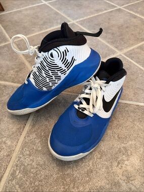 Nike Nike Team Hustle D9 GS
Kids Royal Blue, White & Black Basketball Sneakers